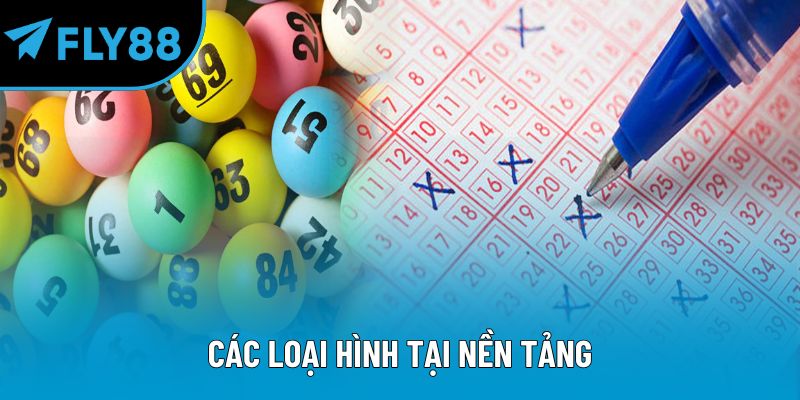 Các loại hình tại nền tảng
