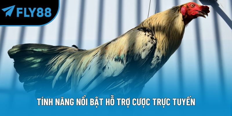 Tính năng nổi bật hỗ trợ cược trực tuyến